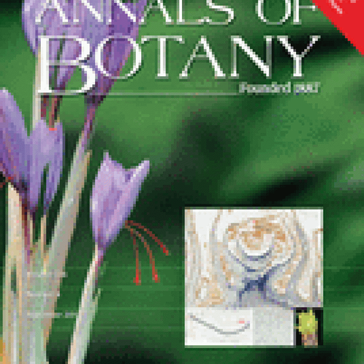 Special Issue ROS and NO Reactions in Plants 