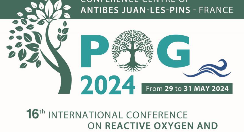 POG 2024 - Cartel