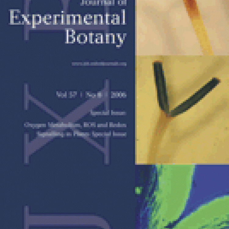 Journal of Experimental Botany