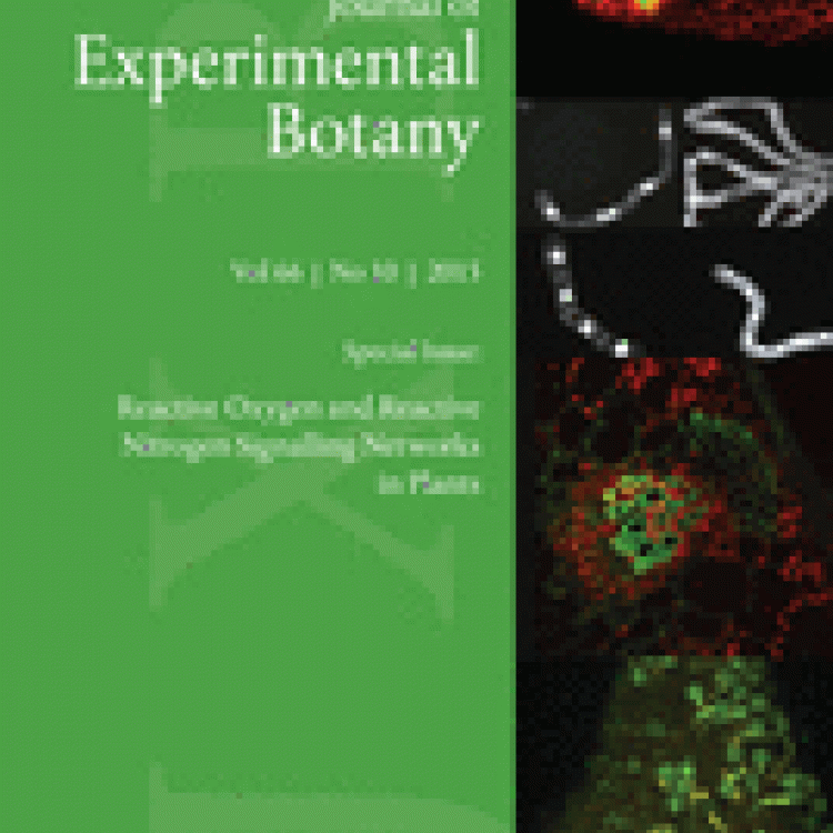 Special Issue: Reactive Oxygen and Reactive Nitrogen Signalling Networks in Plants 