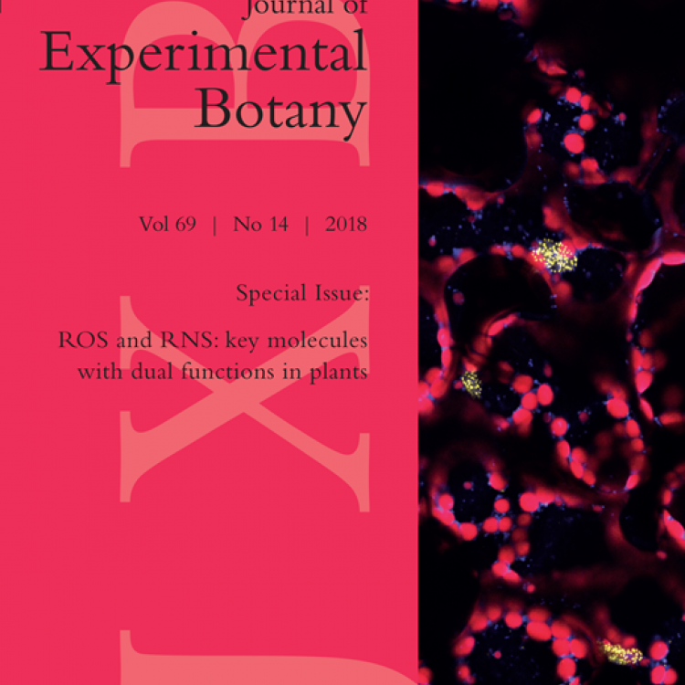 Special Issue: ROS and RNS: key molecules with dual functions in plants 